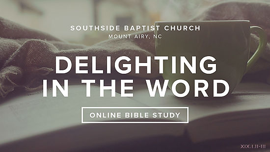 #88 - Delighting In The Word